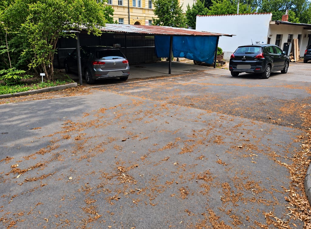 Nová budova na místě parkoviště — před